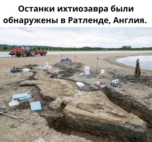Так себе картинки 30.04.22