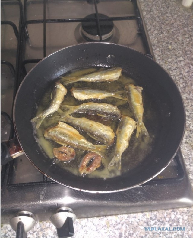Кунашир. Море. Рыбалка