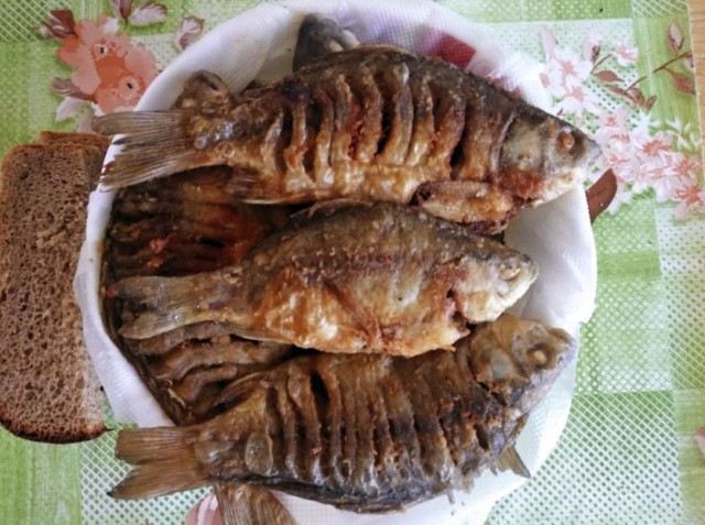 Рыбалка на карася