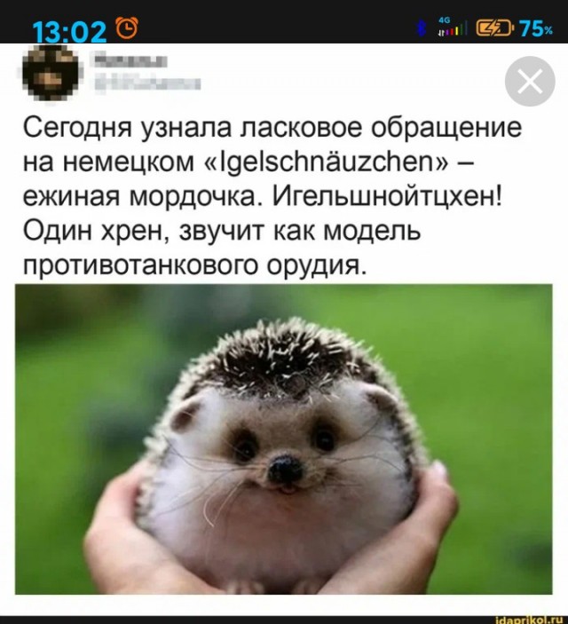 Новости Германии: тракторкампфгруппа атакует