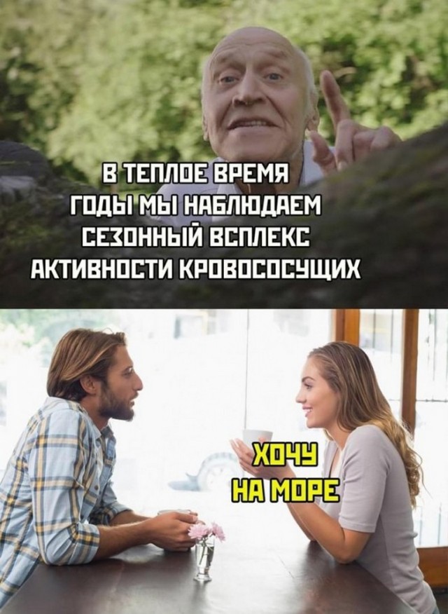 Картинки и мемы для настроения. Выходные рядышком...