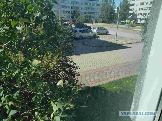 Сейчас я вам покажу, как выглядит столица Латвии Рига