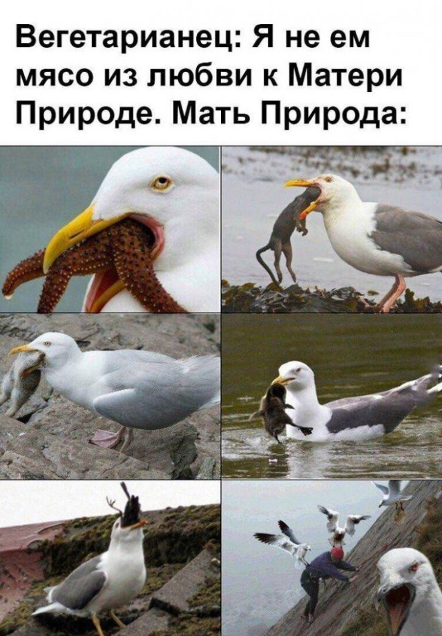 Немного картинок для настроения - 114