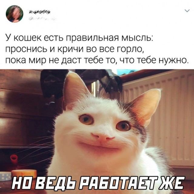 Картинки и мемы, всем хороших выходных