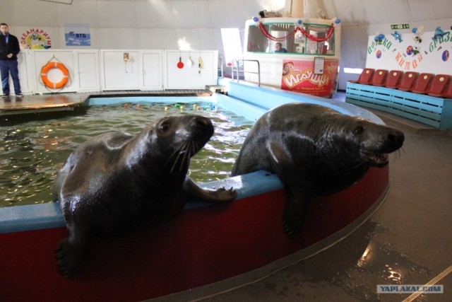 Мурманск глазами карелов