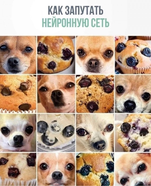 Юмор в картинках и без