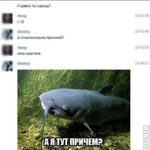 Сомоеды