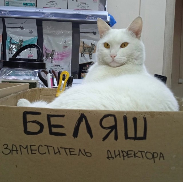 Немного картинок и прочей хреноты Vol. 20