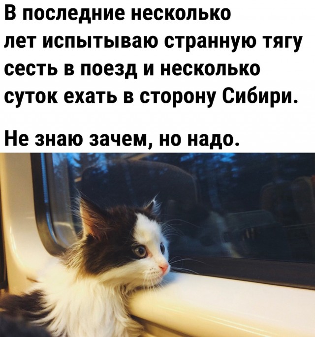 Так себе картинки 14.01.23