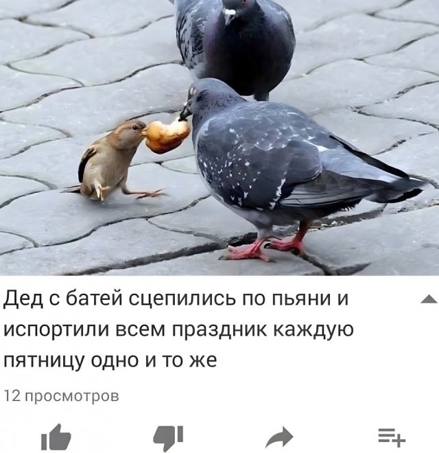 Всего понемногу. От 17.04.23