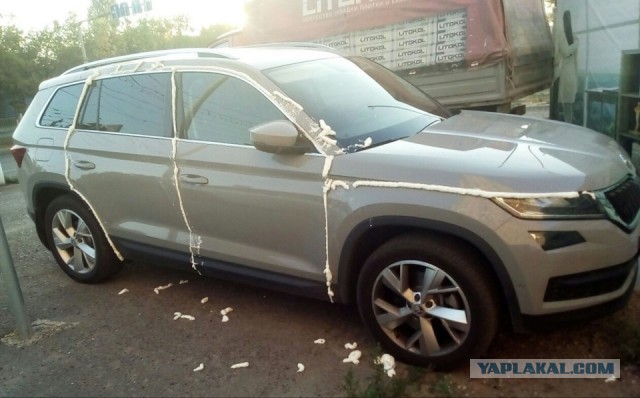 БоХиня за рулем