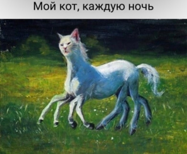 Нуштош 27.08.23