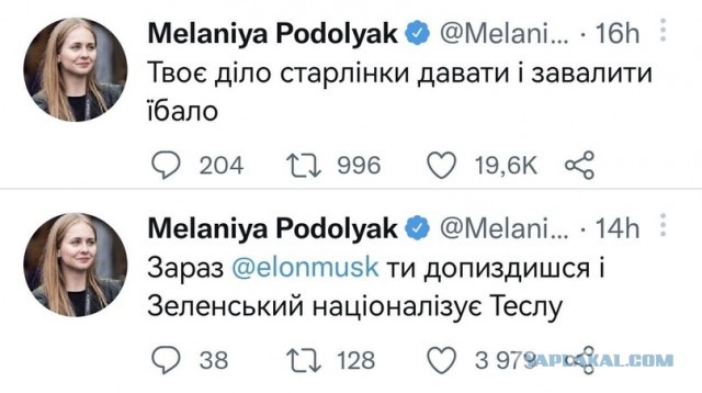 "Да они же тупые!"