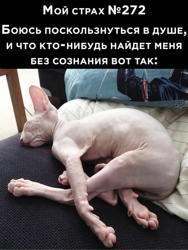 Так себе картинки 06.12.23