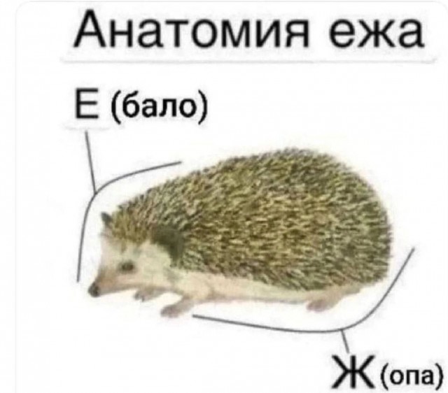 Юмор в картинках и без