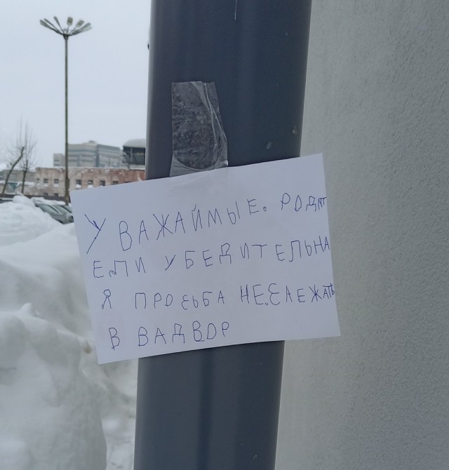Перлы 30.01.24