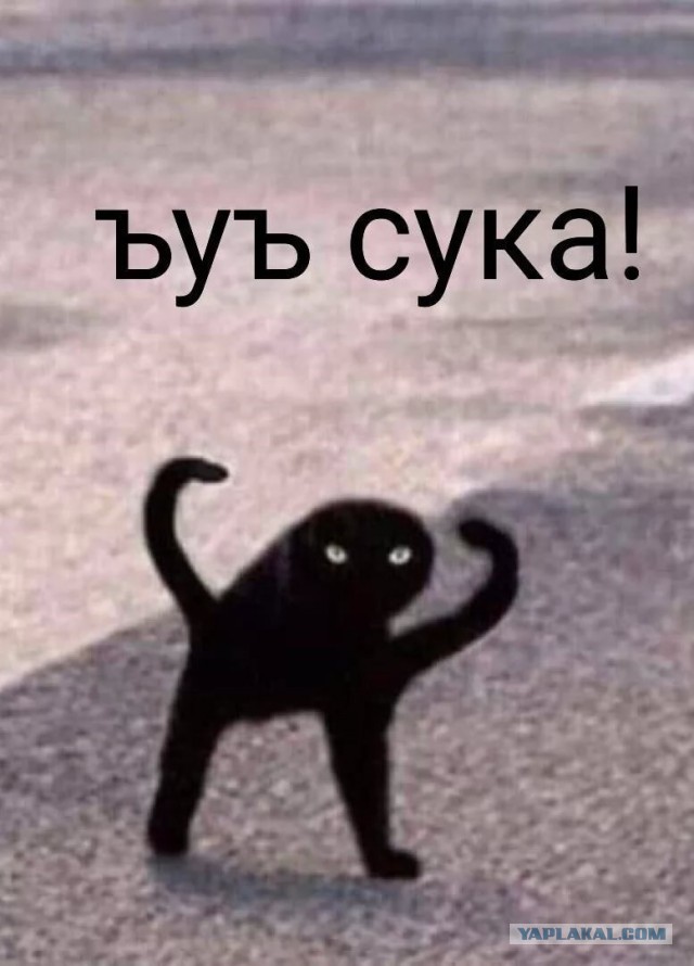 Брат ъуъ