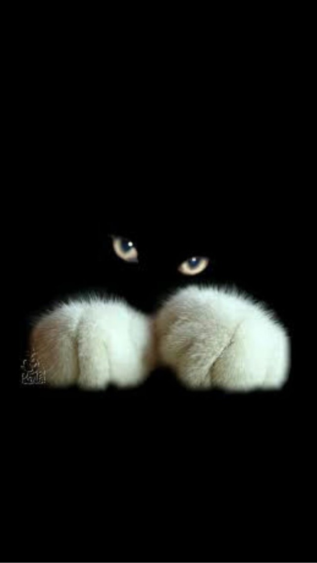 Прикольные и просто красивые картинки 05.04.2024