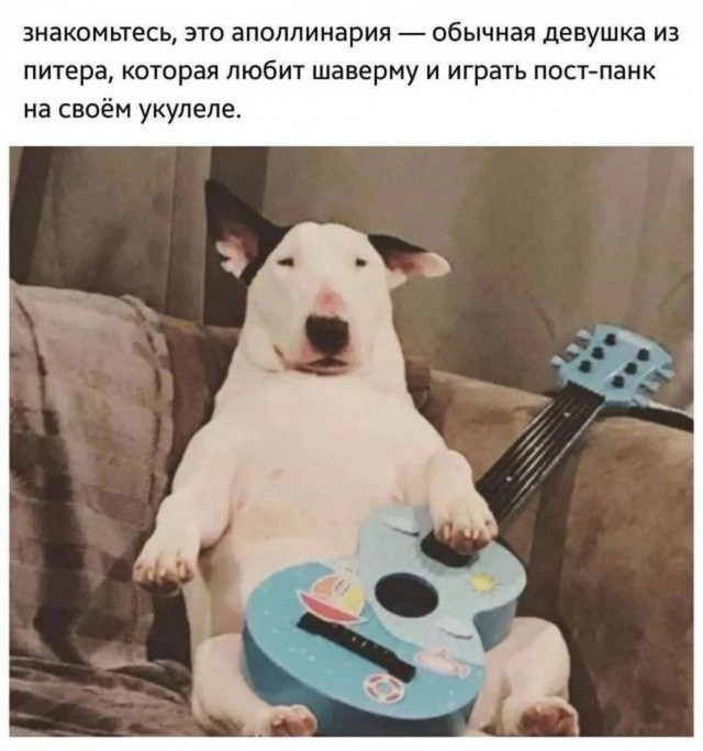 Картинки