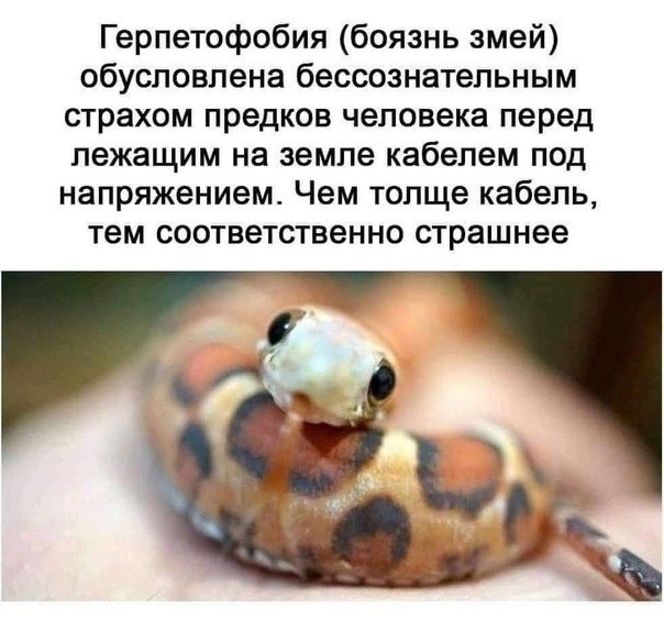 Так себе картинки 28.05.24