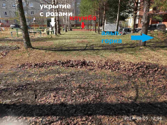 Клумба во дворе 2024 весна
