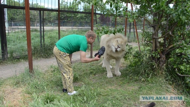 «Хочешь помахать руками, чувак?»