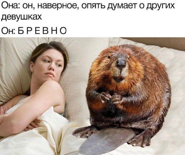 Отряд быстрого деградирования