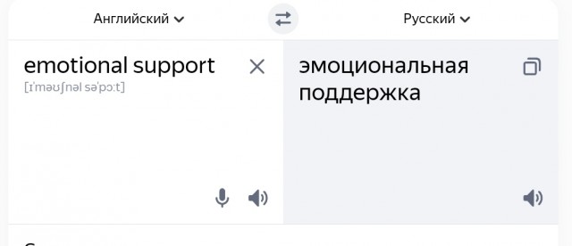 План «Ковёр»