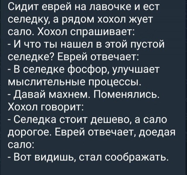 Кошерный йумор