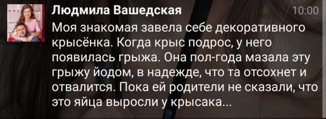 Нуштош 25.12.2024