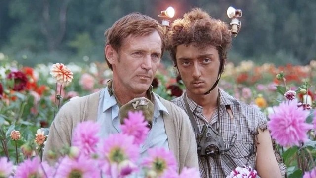 12 лучших фильмов ужасов про петлю времени