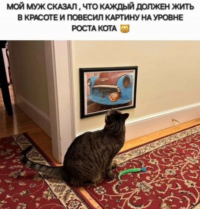 Весёлый полтишок 08.07.25