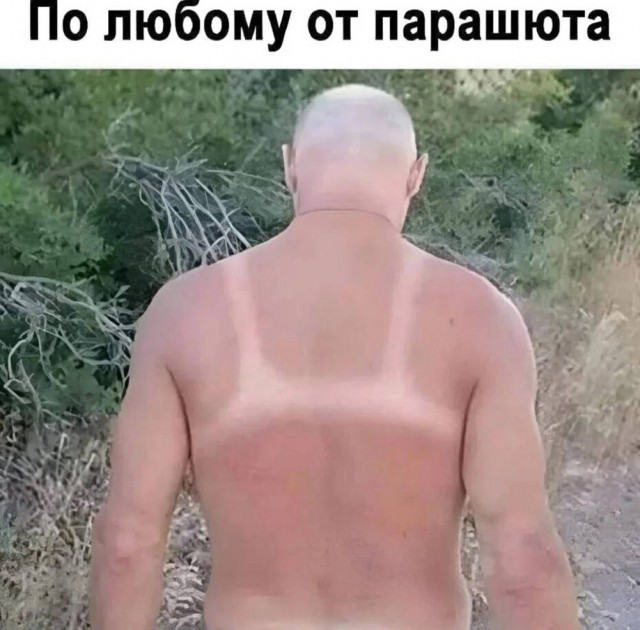 Веселое настроение в картинках (25.07.2025)