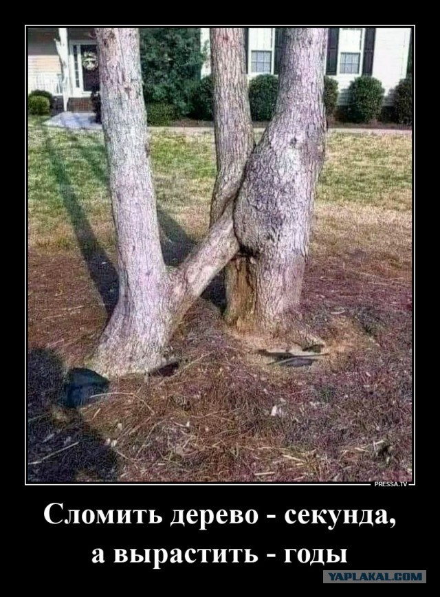 Так себе картинки 07.09.25