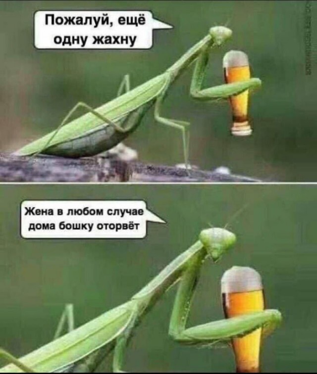 Прикольные и просто красивые картинки