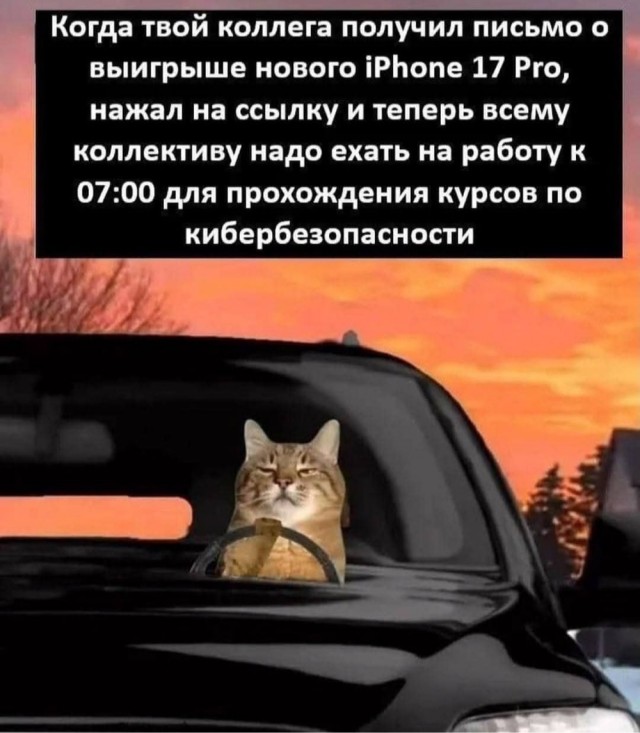 Картинки для бодрости духа