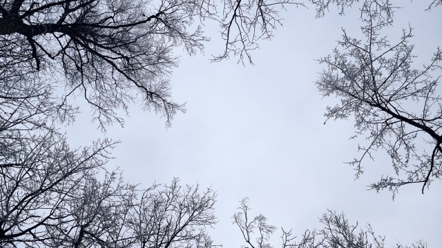 Айгир