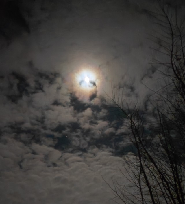 Сьебать бы туда.