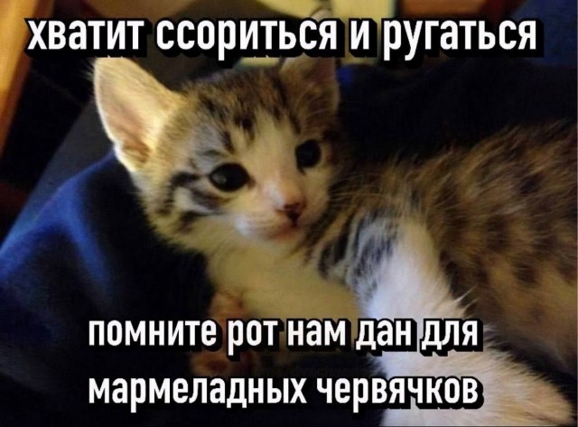 Четверговые картинки