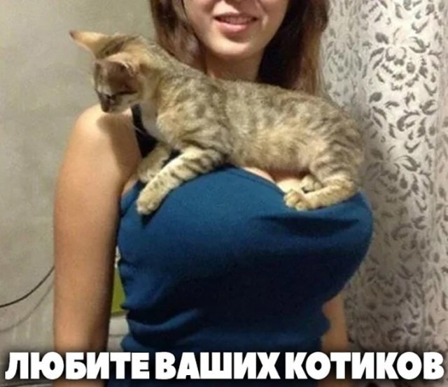 Мои избранные картинки часть 6