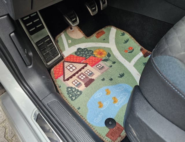 А не сшить ли мне новые коврики в машину?