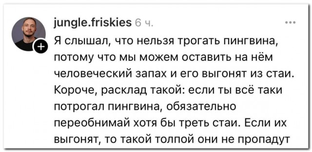 Звучит как план⁠⁠