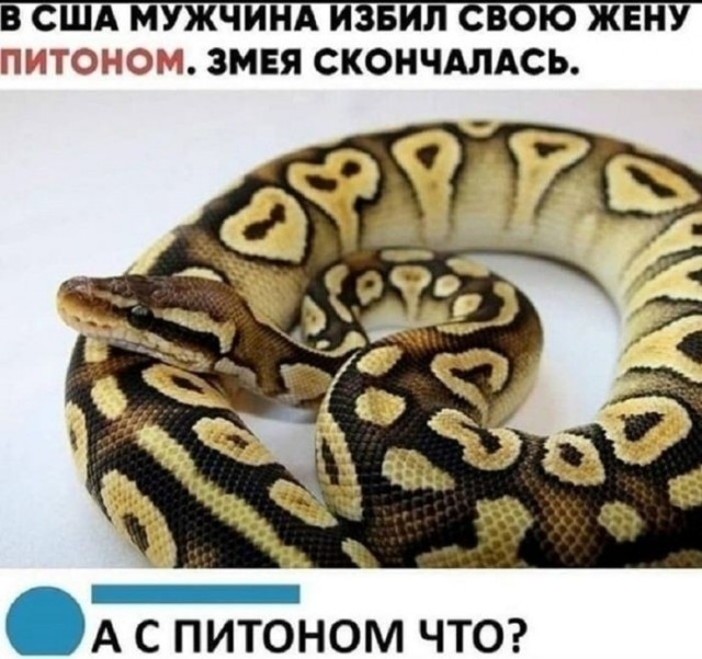 Картинки для деградации 198 (разной степени свежести)