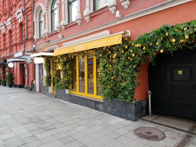 Едут сосут