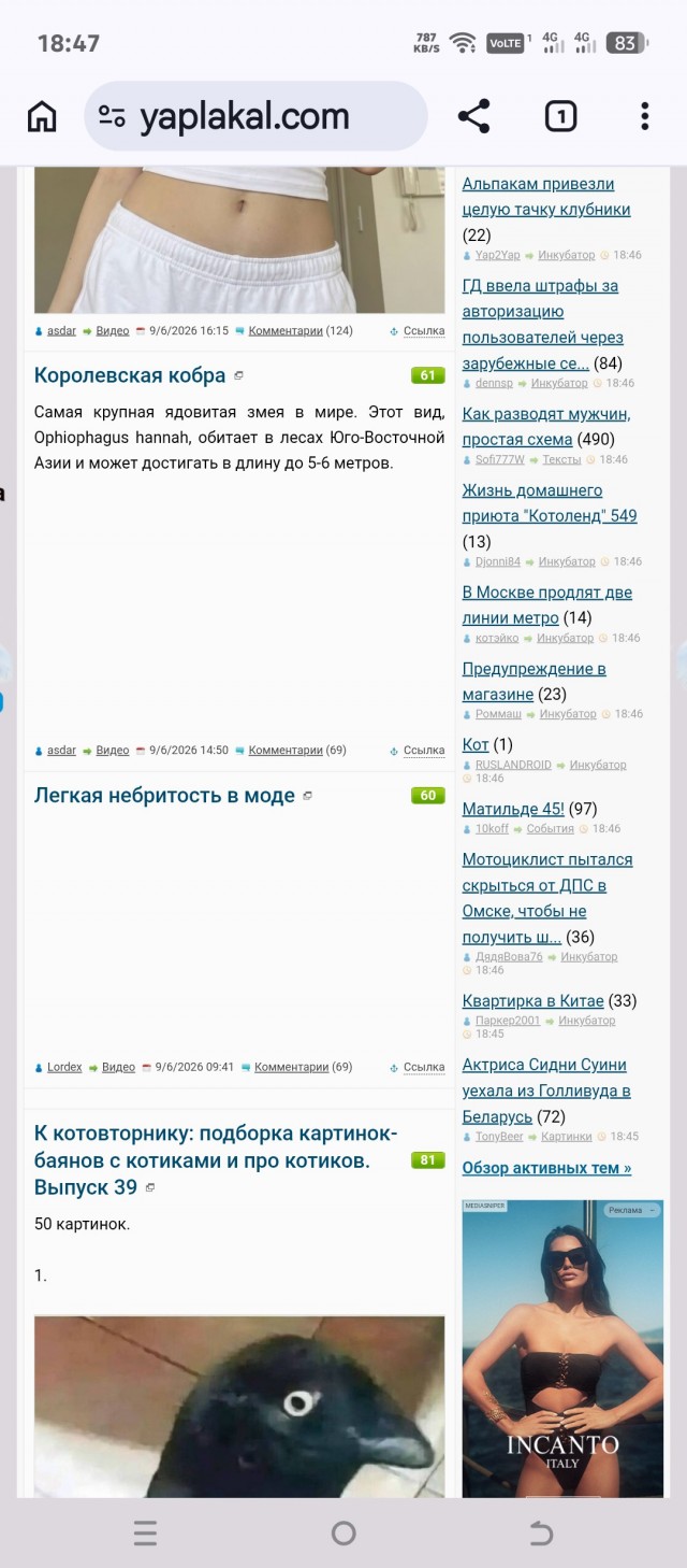 Как вернуть видео на ЯПе?