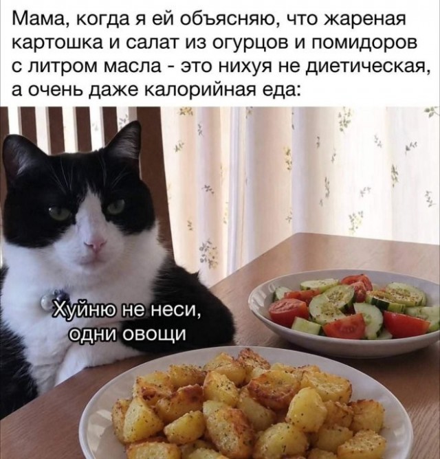 Веселые картинки в пятницу (03.07)