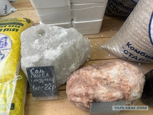Соль для засолки огурцов, кто какую использует?