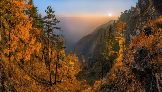 Осень в тайге