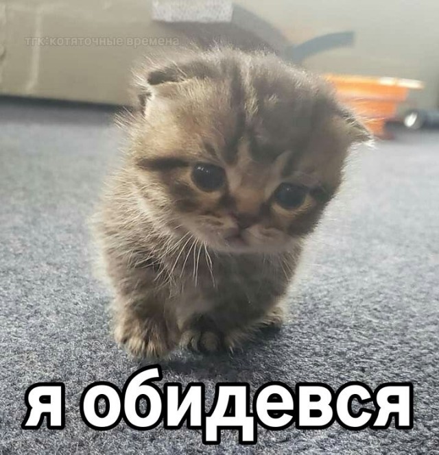 Сайт стал говно