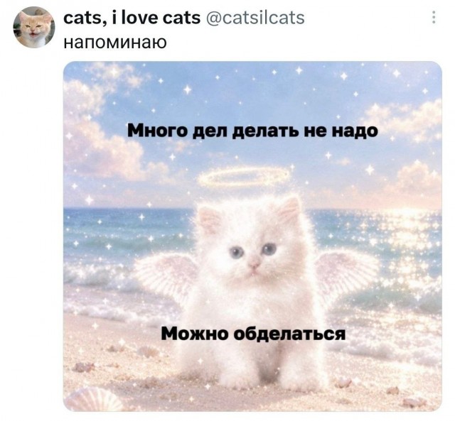 Картинки из Хвиттера